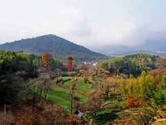 -塔川景区