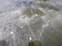 -台山黑沙湾海浴场