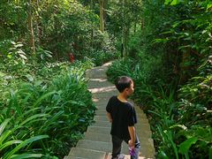 -水濂山森林公园