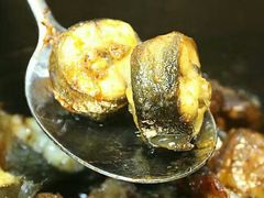 -新合益乡村农庄