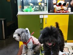 -严国平动物医院(德政总院)