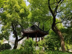 -和平公园