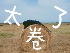 -敕勒川草原