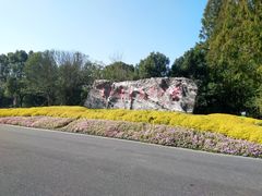 -东平国家森林公园