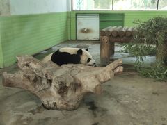 -石家庄市动物园