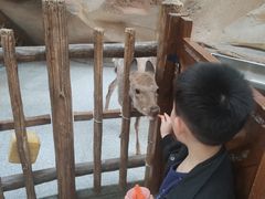 -杭州开元森泊度假乐园