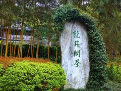 -十八棵（老龙井）御茶园(老龙井店)