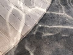 -张之洞与武汉博物馆