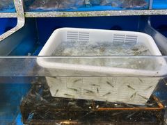 -盒马鲜生(莱蒙都会店)