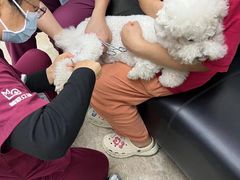 -美联众合动物医院·24h转诊中心