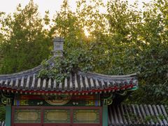 -宣武艺园