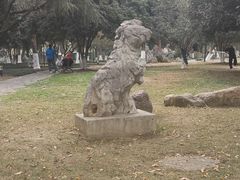 -汉水公园