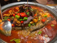 -探鱼·鲜青椒爽麻烤鱼(苏宁广场店)