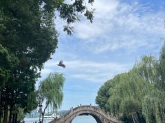 -西湖天地