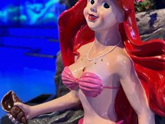 -多彩贵州城极地海洋世界