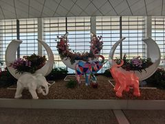 -郑州新郑国际机场-T2航站楼