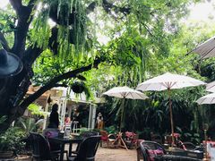 -Fern Forest Cafe