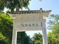 -广西壮族自治区药用植物园