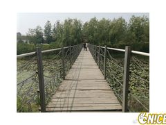 -赵州桥景区
