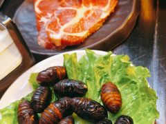 -松渡·鲜肉泥炉烤肉(时代天街店)
