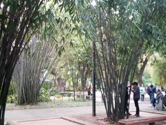 -晓港公园