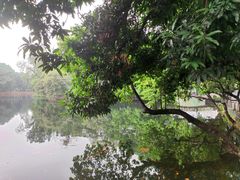 -荔湾湖公园