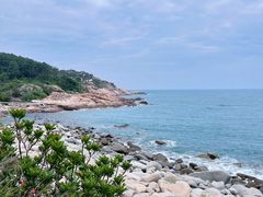 -广东惠东海龟国家级自然保护区