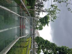 iphone_upload_pic-广州花之恋城堡酒店