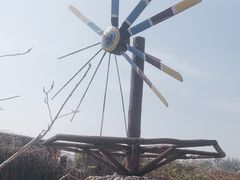 -呀路古热带植物园