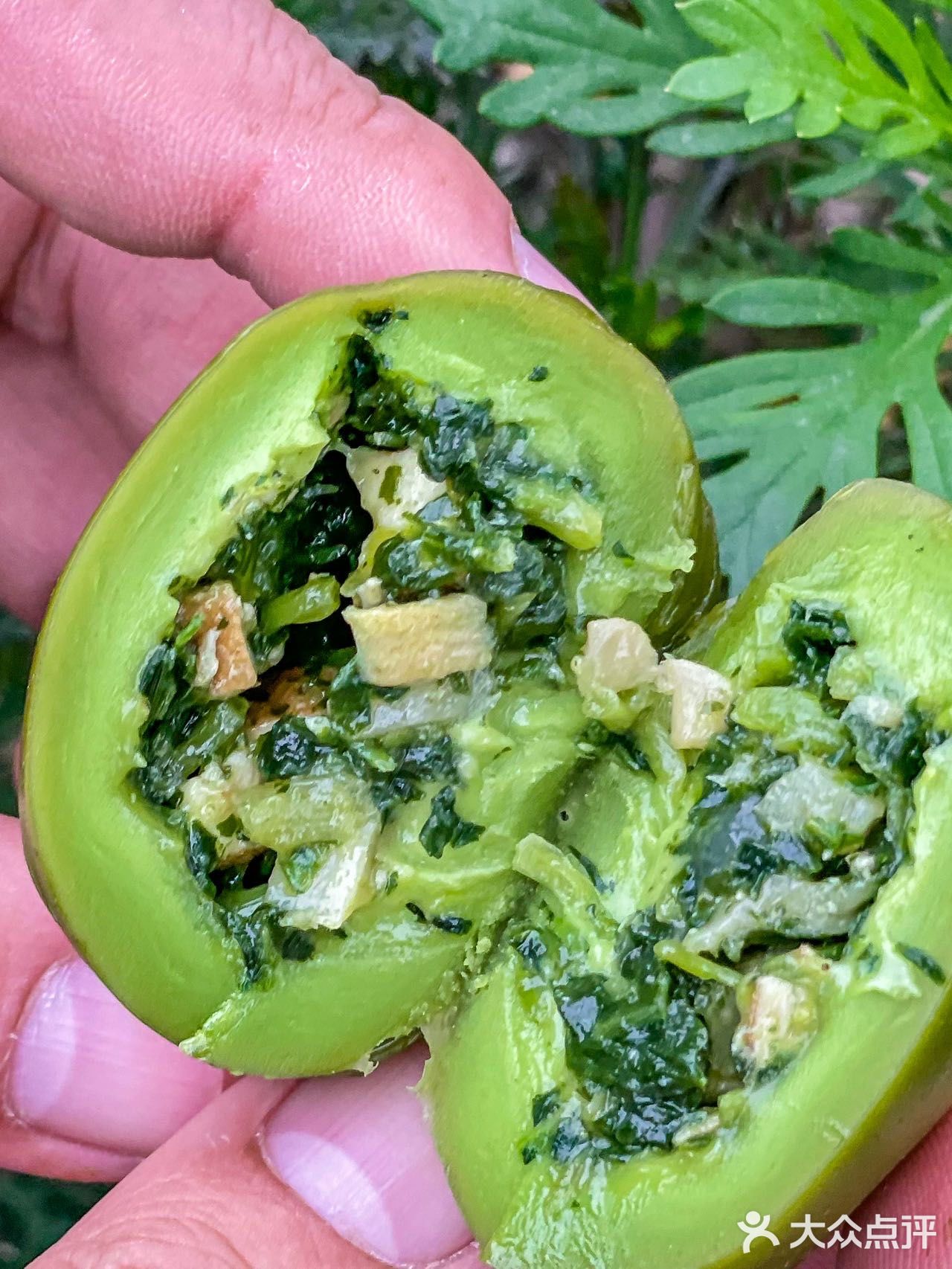 巴比出马兰头青团了！还有蒲公英荞麦包