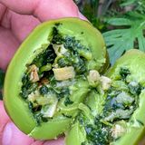 巴比出马兰头青团了！还有蒲公英荞麦包