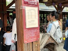 -合肥滨湖国家森林公园