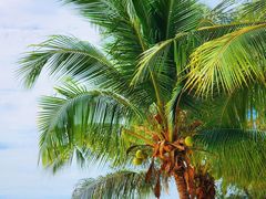 -三亚南山文化旅游区