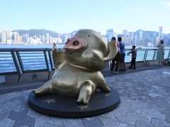 -星光大道