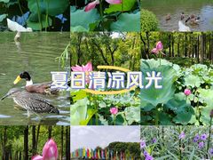 -大宁公园