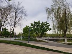 -五环公园