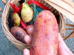 -东天目山风景区