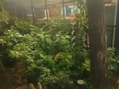 -蘇河湾·新鲁菜·泰山宴(泰山店)