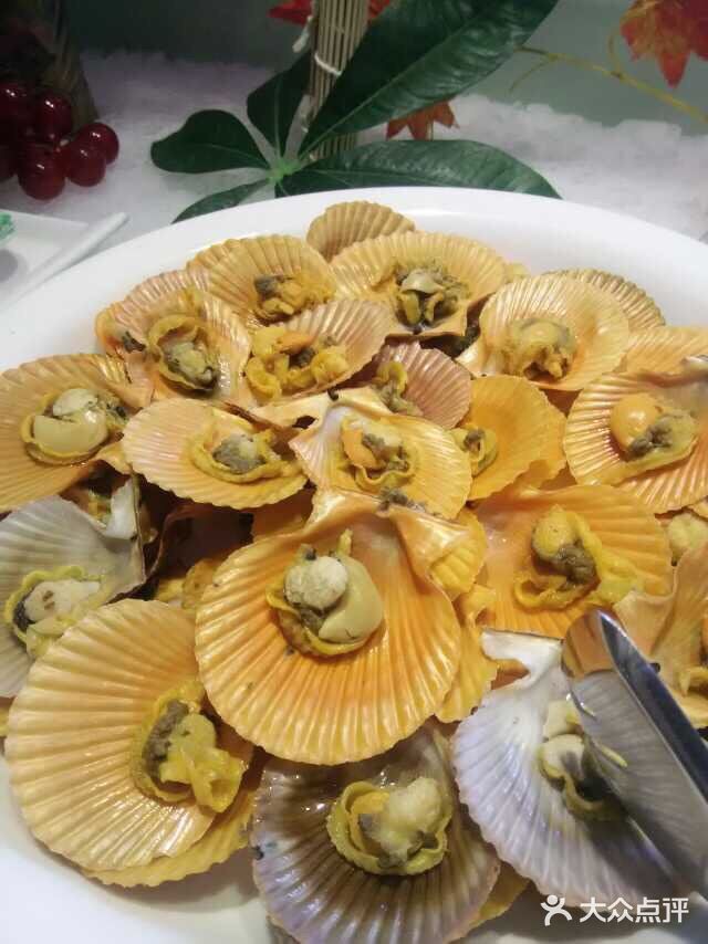 燕鯊南美海鮮自助美食匯貝殼圖片