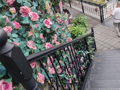 -京北渔家傲