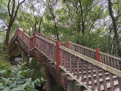 -南山植物园