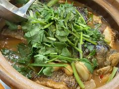 -九道菜有鸡鱼头(石鼓路店)