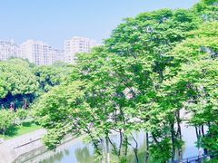 -东水关遗址公园