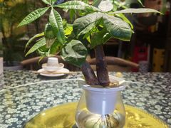 -蘑菇私房菜小馆(杨家坪西城天街店)
