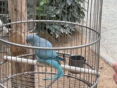 -南宫五洲植物乐园