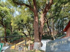 -马王堆汉墓遗址