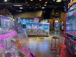 -卡通尼·Safari非洲探索乐园·生日会(金桥国际商业广场店)