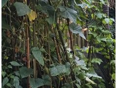 -鸭天下·川菜·家宴(铂金时代店)