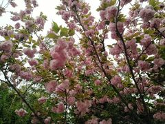 -尚贤河湿地