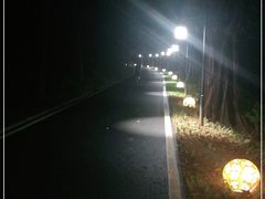 -广州雕塑公园